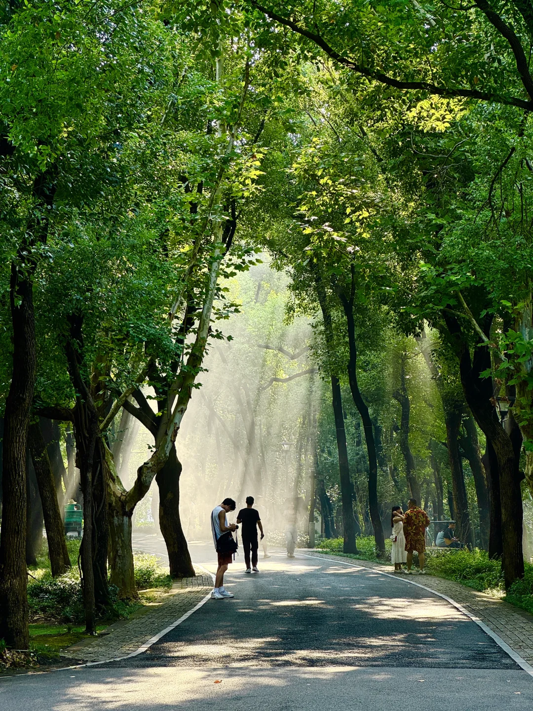 东湖最出片的还得是落雁，游玩攻略已整理