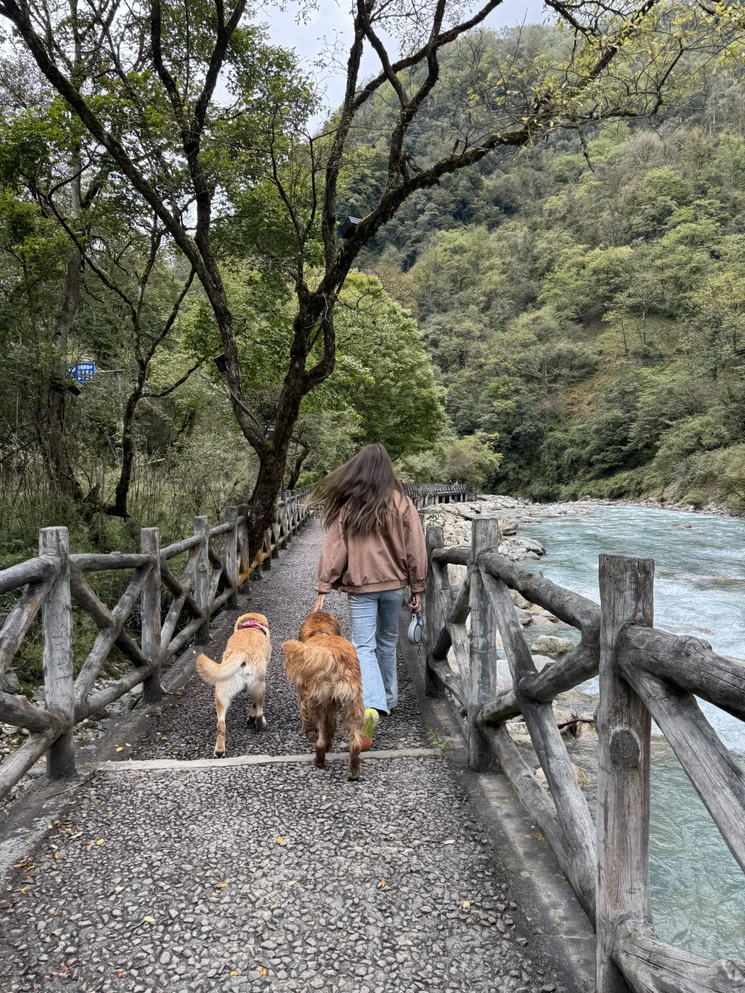 带狗狗去喇叭河的注意了⚠️看完这篇不踩雷