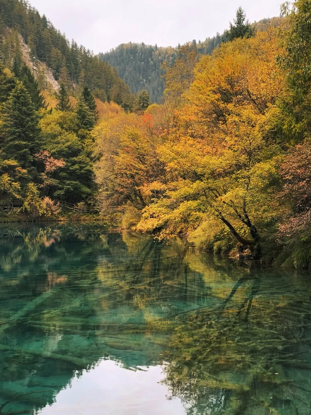 九寨沟避堵路线，把旺季当成淡季玩⛰️