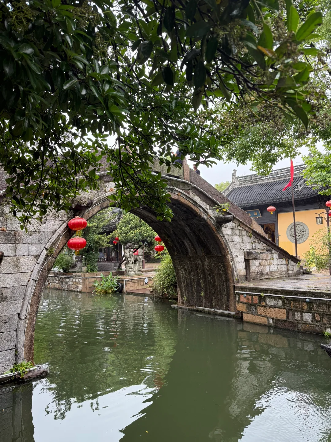 端午误入神仙长辈团，懒人旅游天花板！👵👴✨