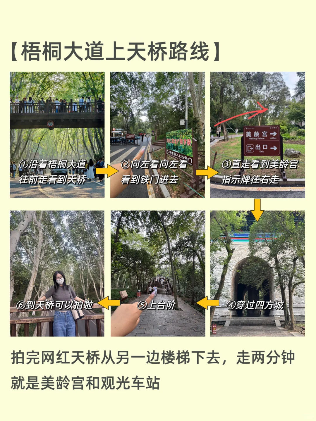 南京梧桐大道-网红天桥-音乐台🕊️最新攻略