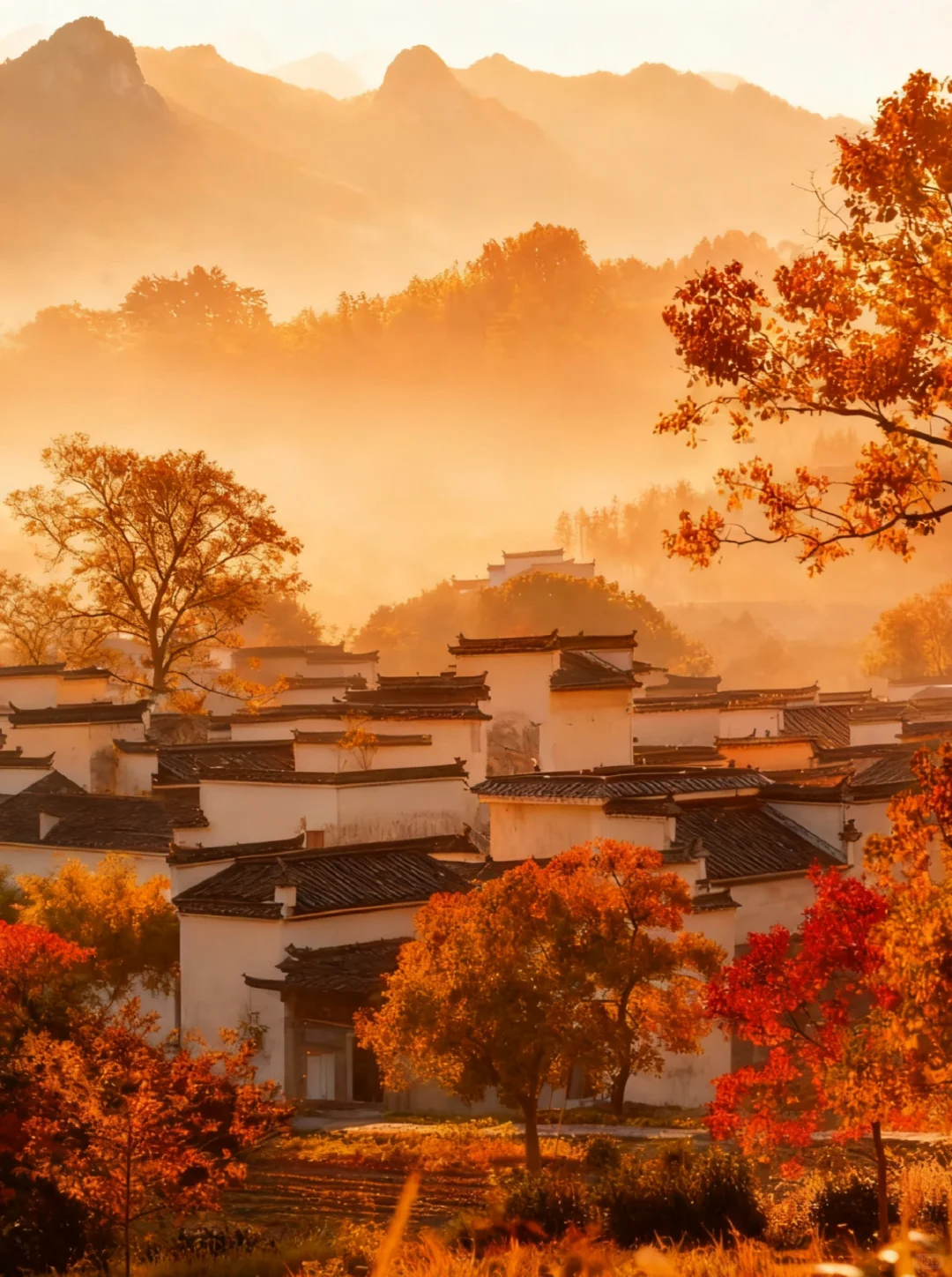 【皖南秋色天花板🍁】3天2晚保姆级攻略！