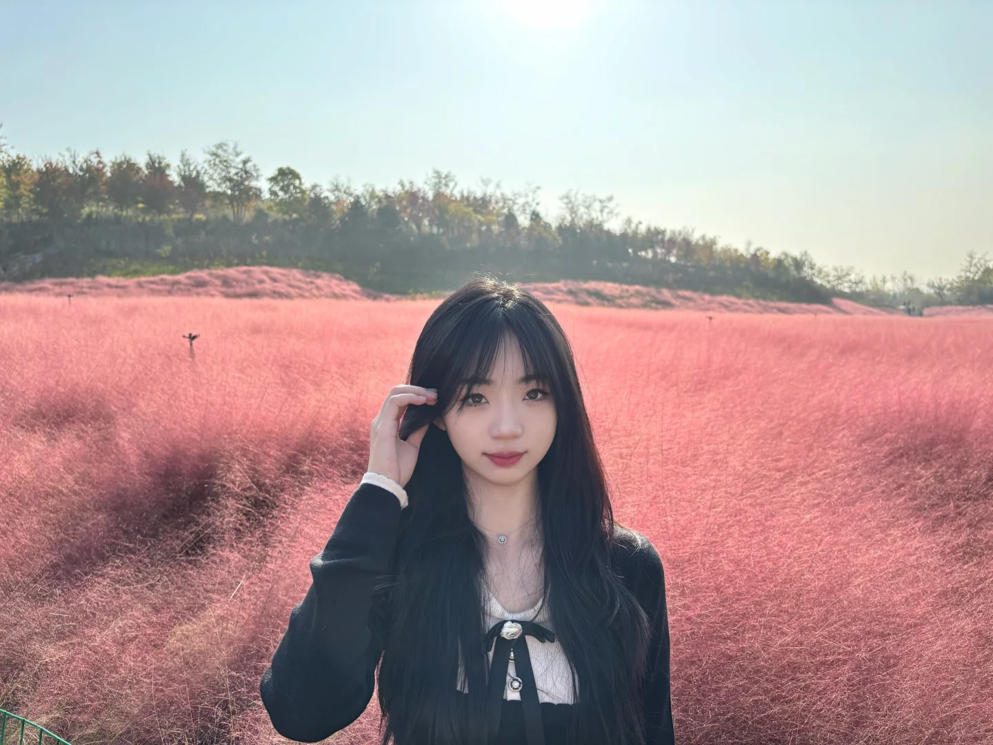 邯郸！紫山公园！超漂亮粉黛花海