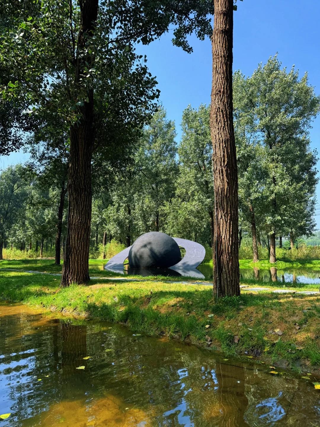 好像在河北遇到了绿光森林🍃