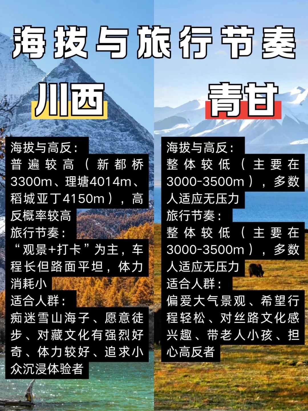 国庆假期川西和青甘怎么选❓我的建议是。。。