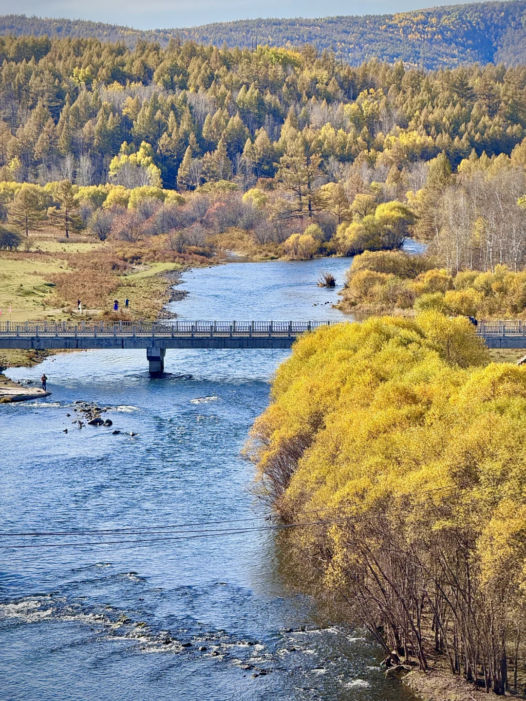 大兴安岭❗️没有一个地方比呼伦贝尔更懂秋天