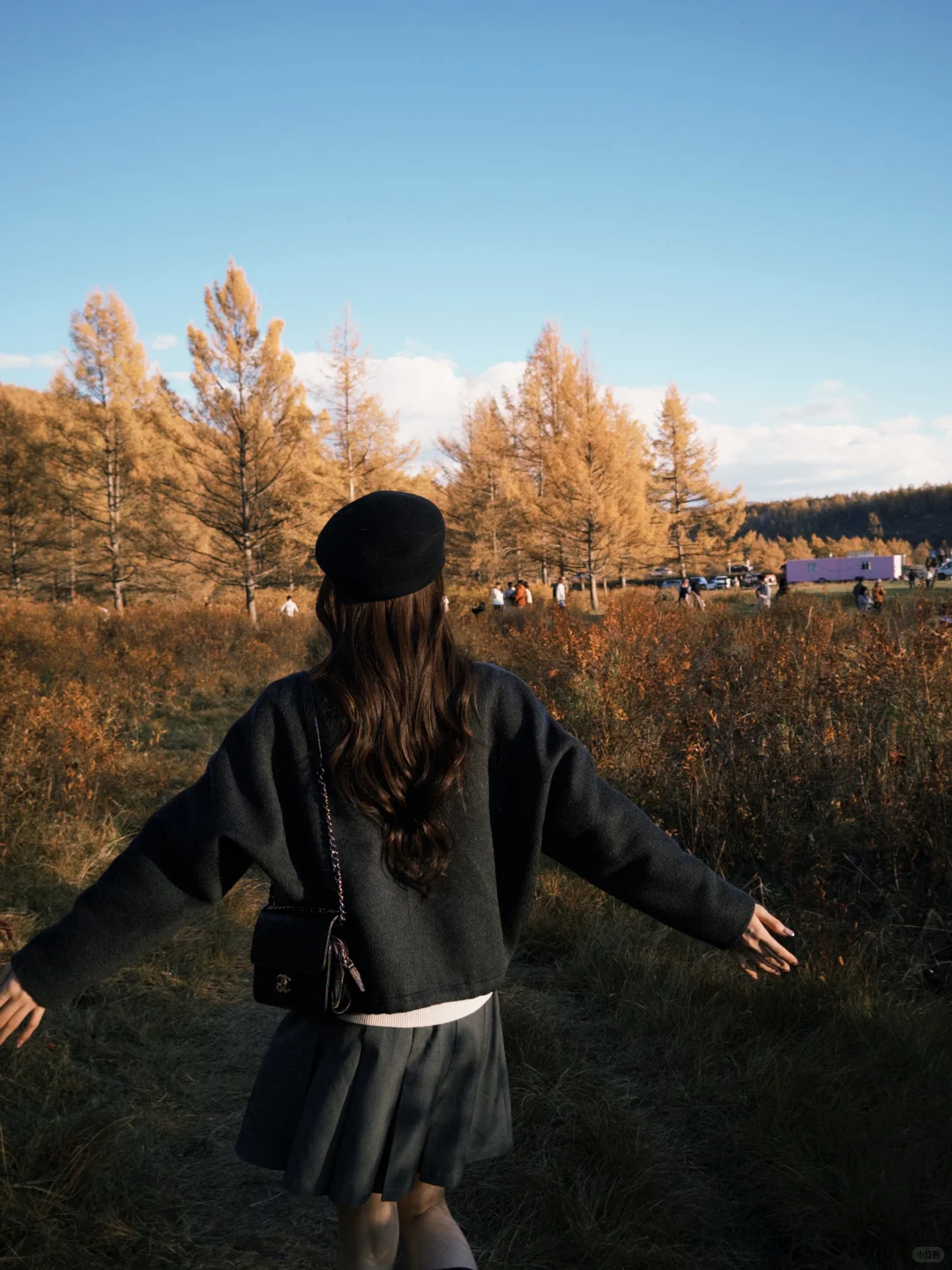 阿尔山怎么美成这样🍂‼️