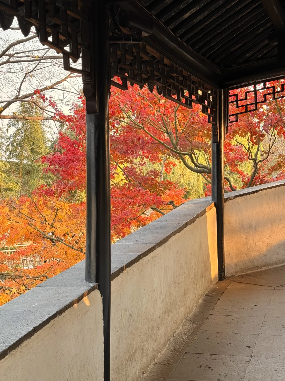 18张live图🍁告诉你苏州秋天有多美!!!!!!!