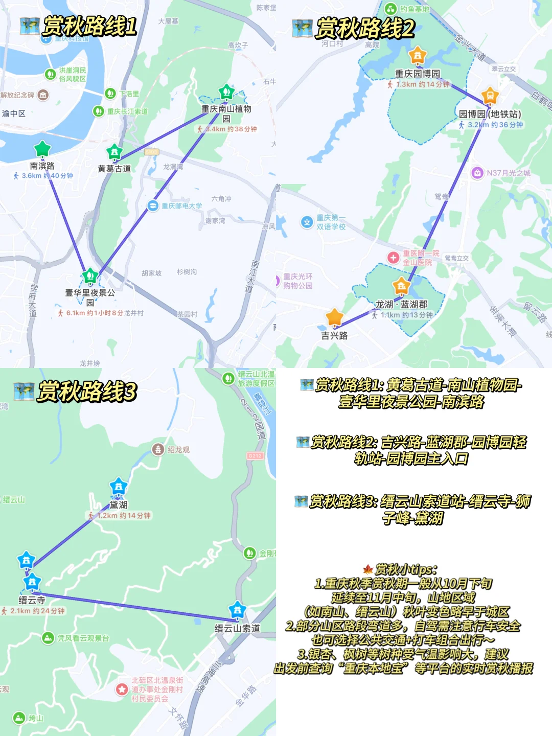 2025重庆赏秋时刻表📅