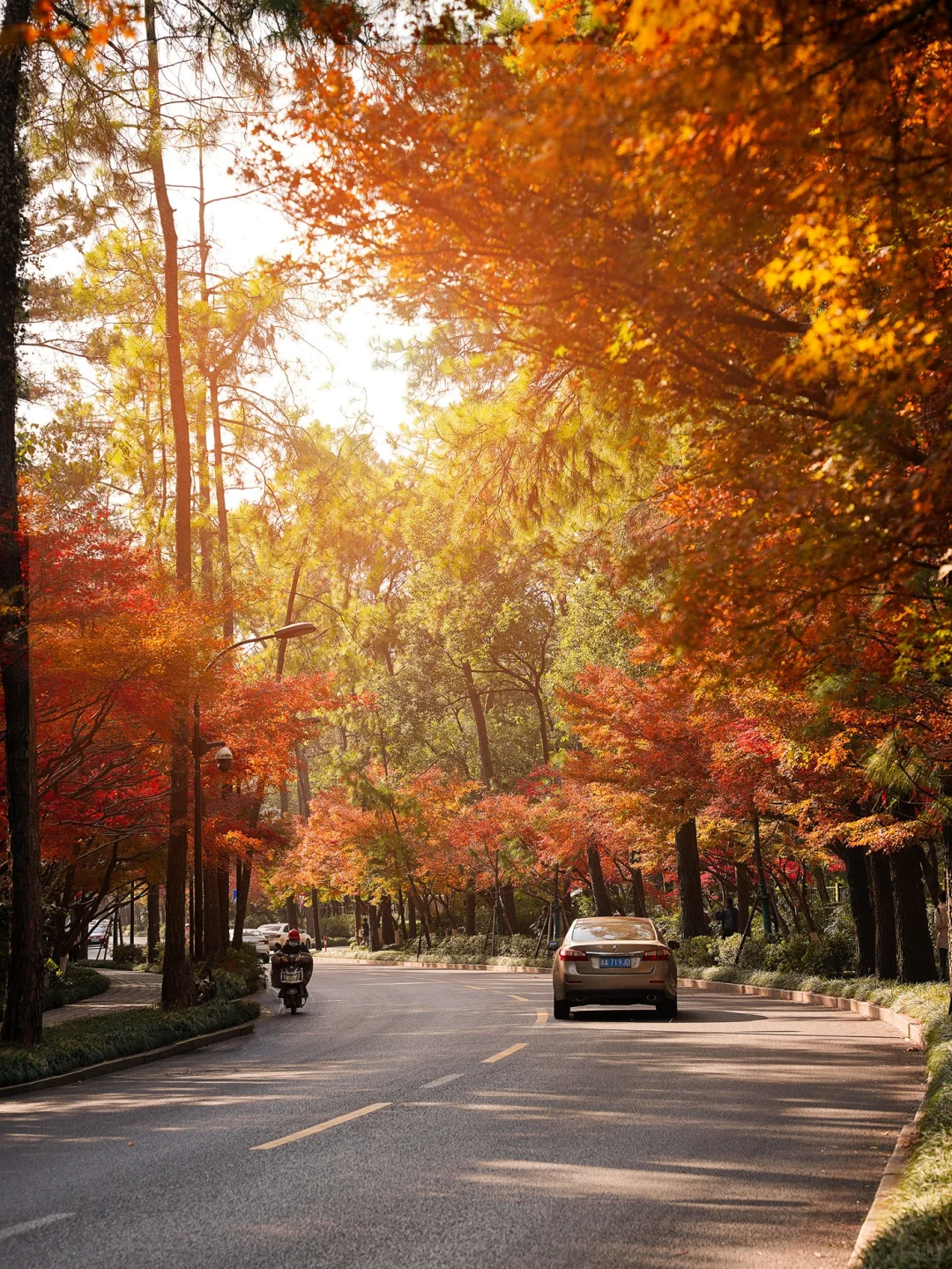 杭州最美的秋景都是免费的🍂附机位！