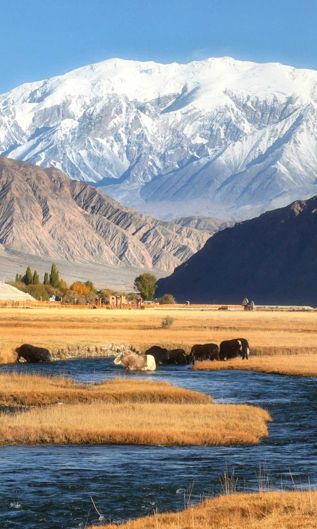 全屏live | 南疆秋天最好的地方都是免费的
