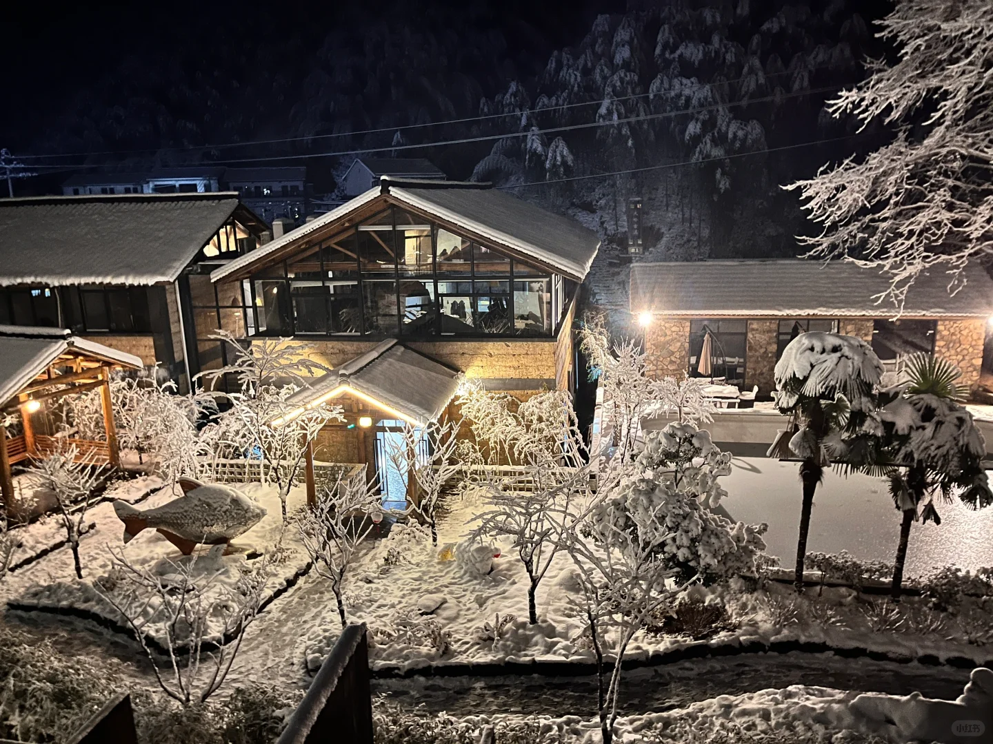 浙江安吉|江浙沪有自己的阿勒泰