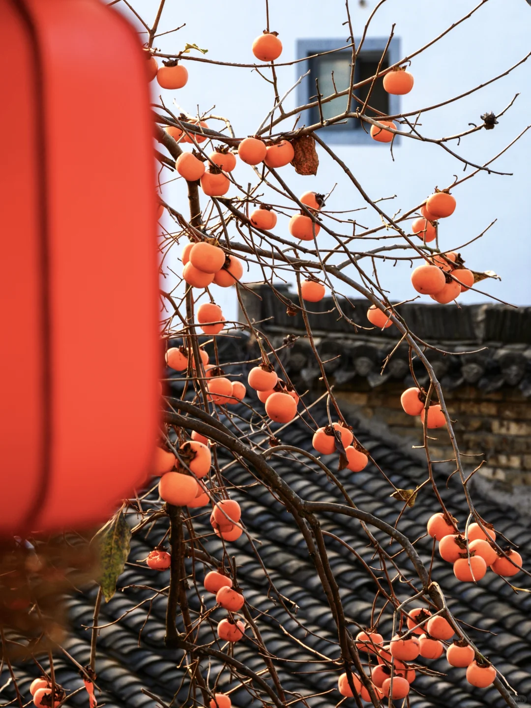 为了这扇窗,我特意去了一趟皖南