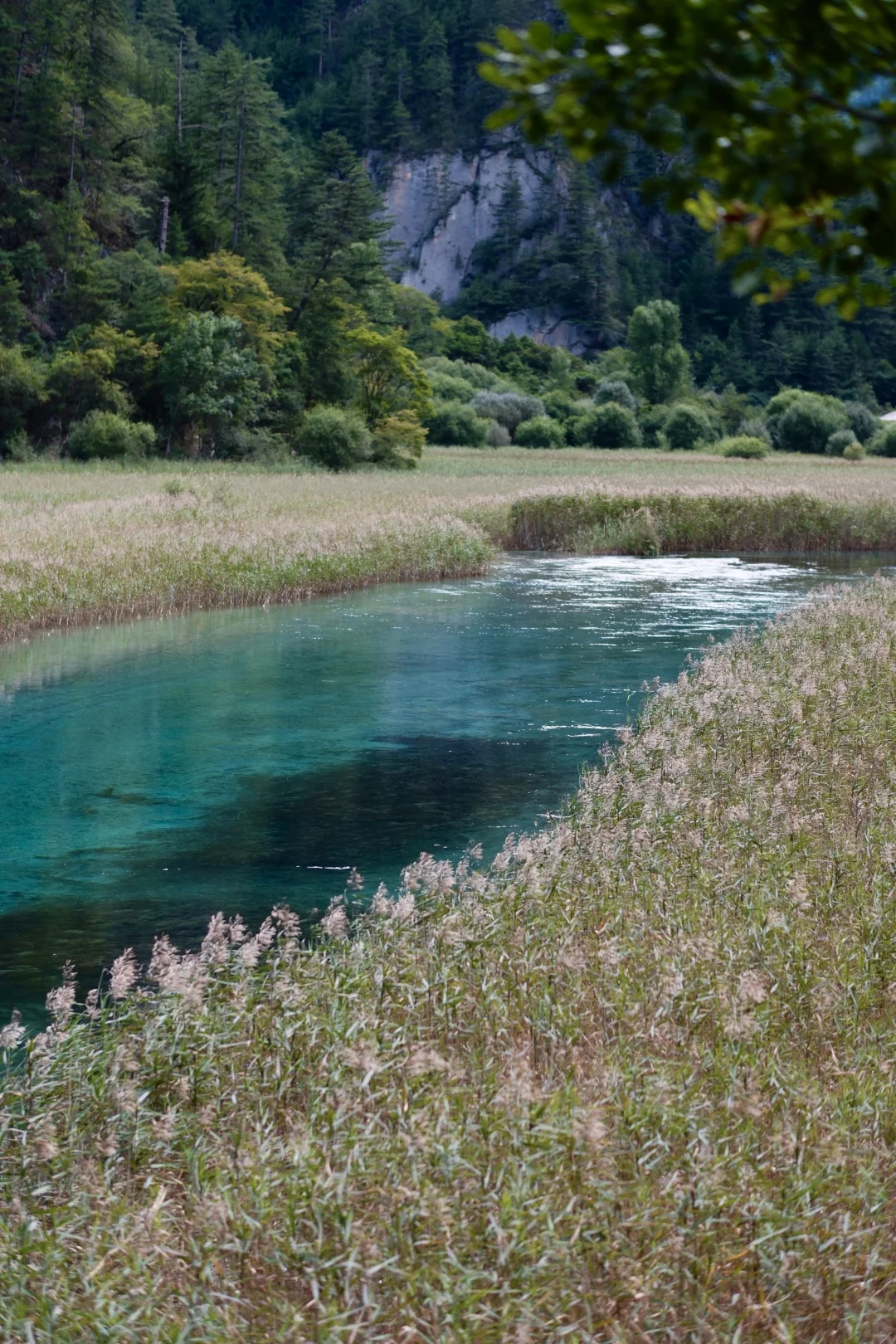 📍JiuZhaiGou 九寨沟