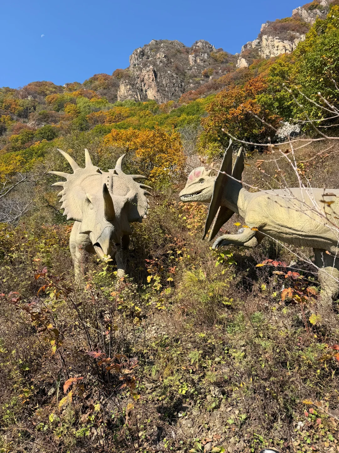 独属北京十月的绝美风景📍百瑞谷保姆级攻略