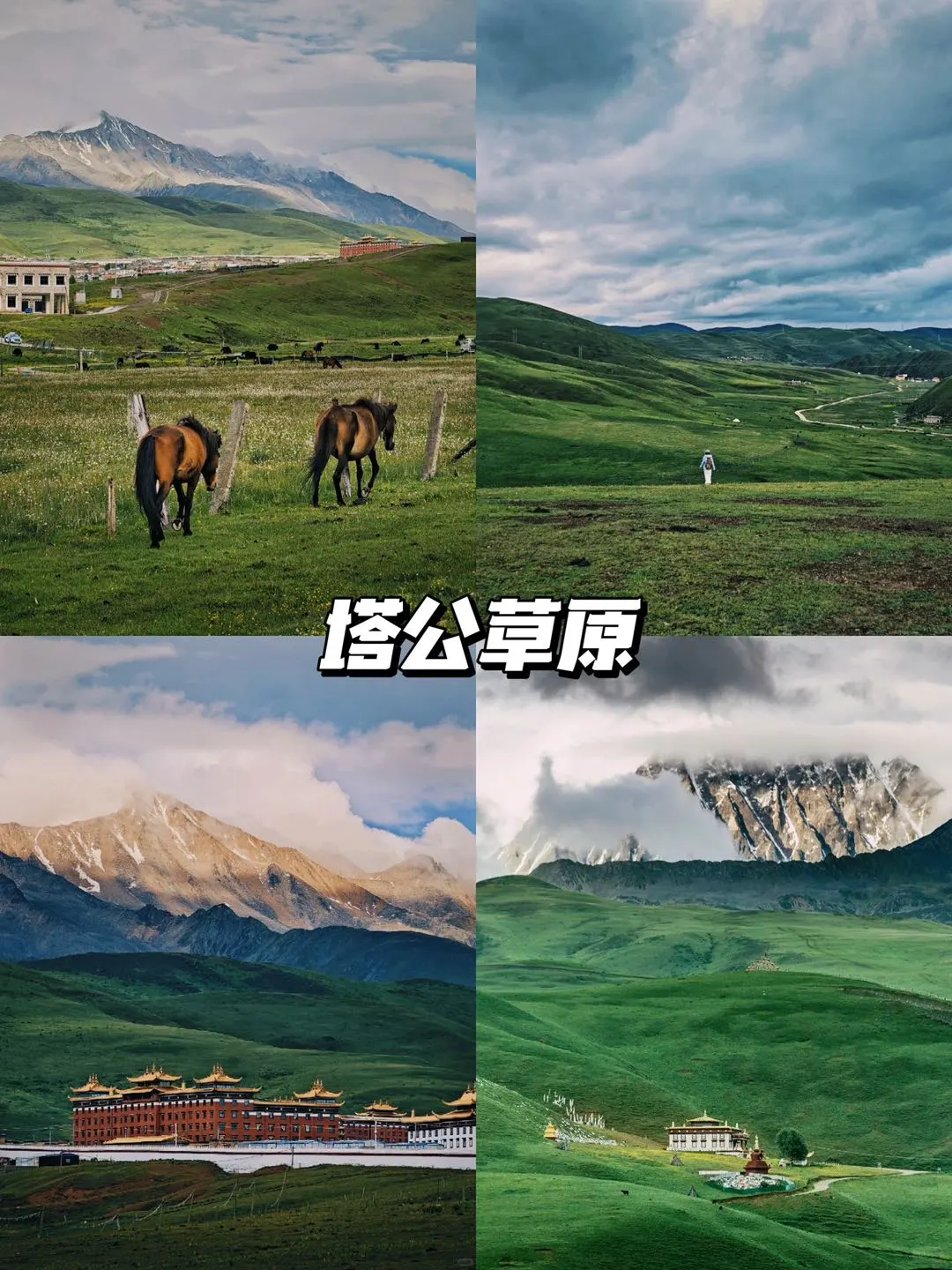 川西丨3天2夜懒人避坑攻略🔥P人直接抄