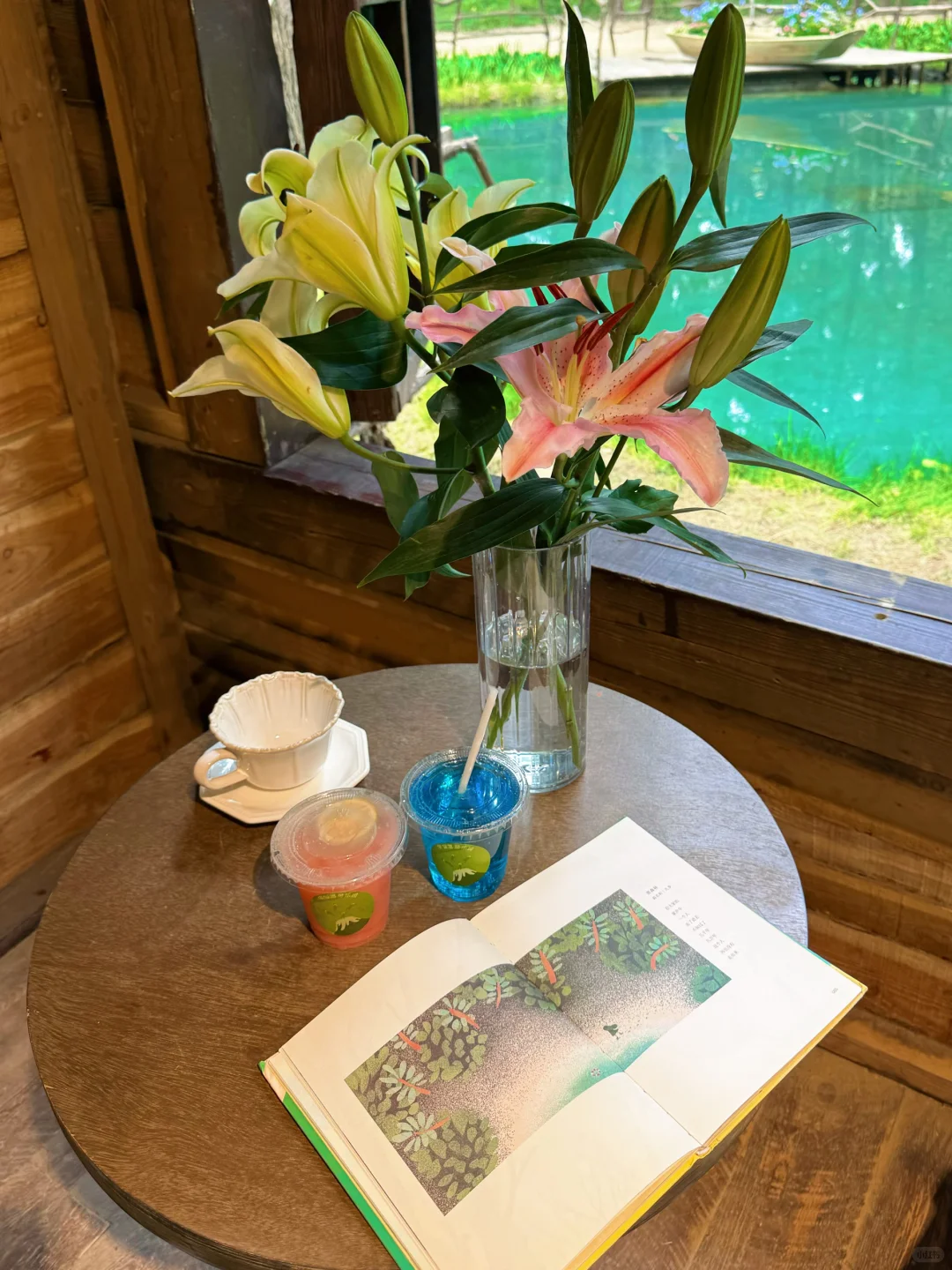 好像在河北遇到了绿光森林🍃