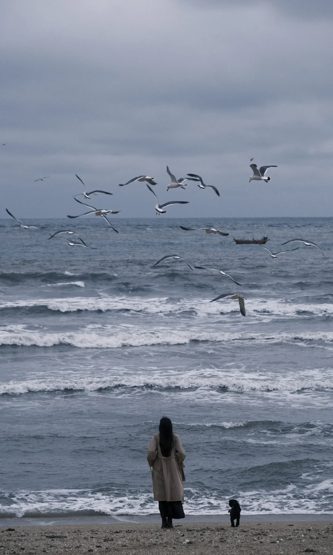 接下来的大连🌊