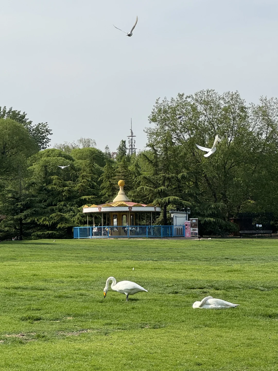 是会带每个来北京的朋友 都去的地方