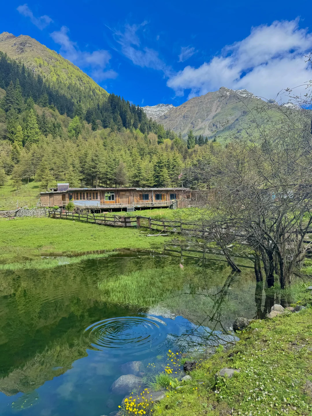 这辈子都舍不得删的live图…