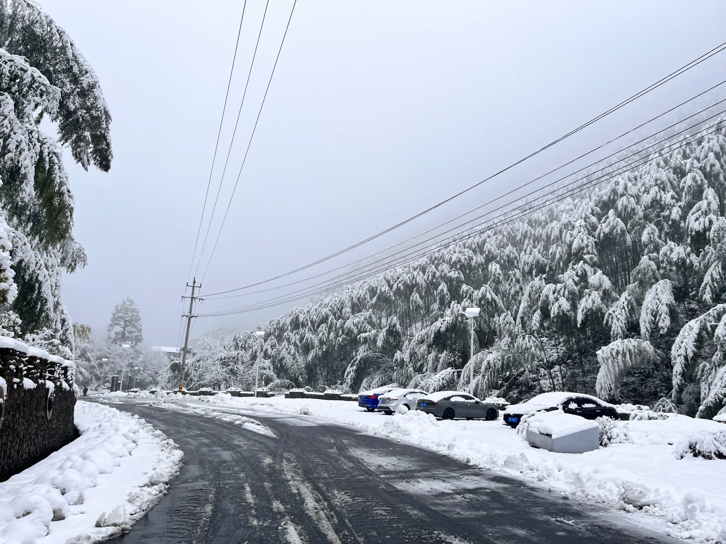 浙江安吉|江浙沪有自己的阿勒泰