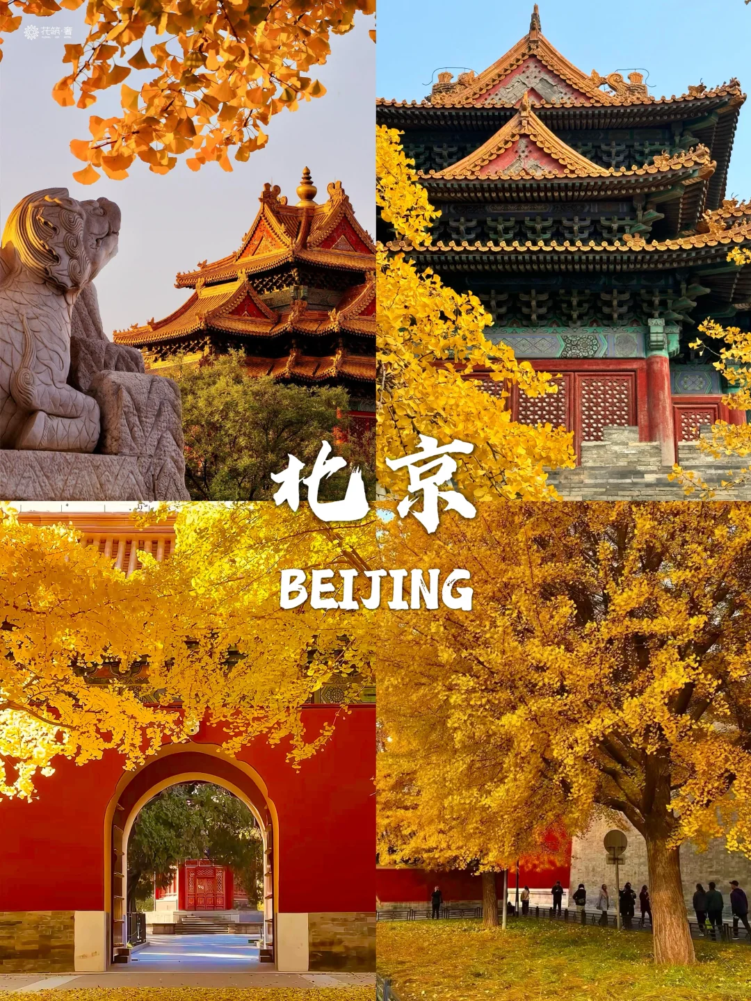 国内赏秋合集🍁这8个地方太值得推荐了