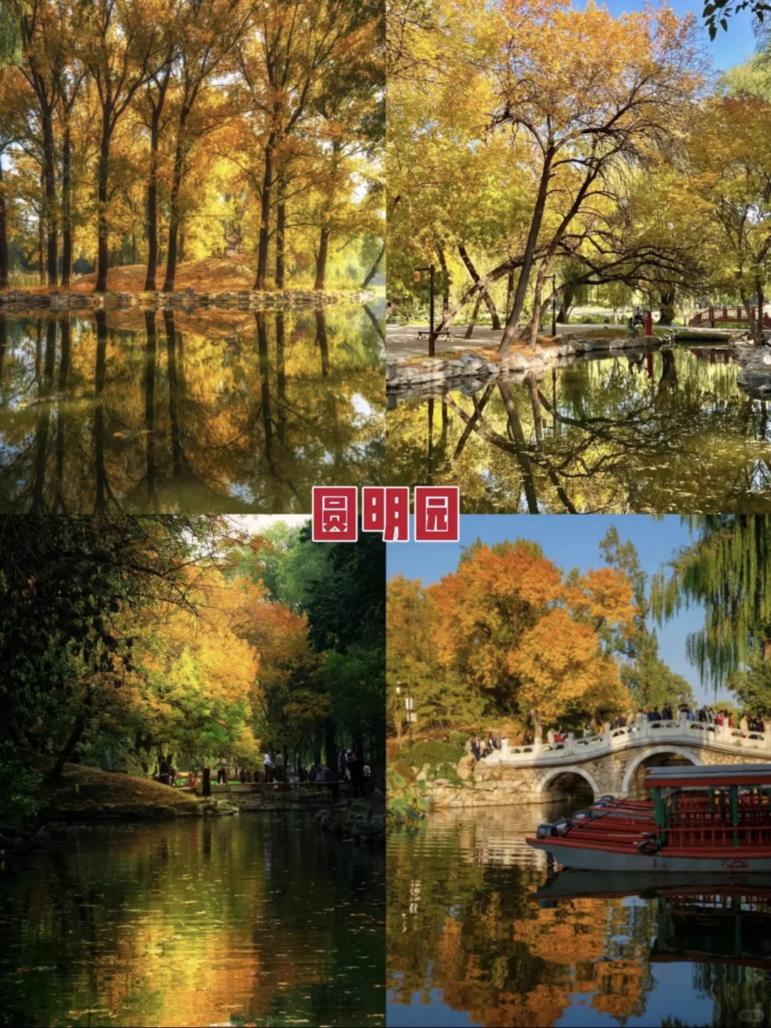 真的太美了，最美金秋！！！