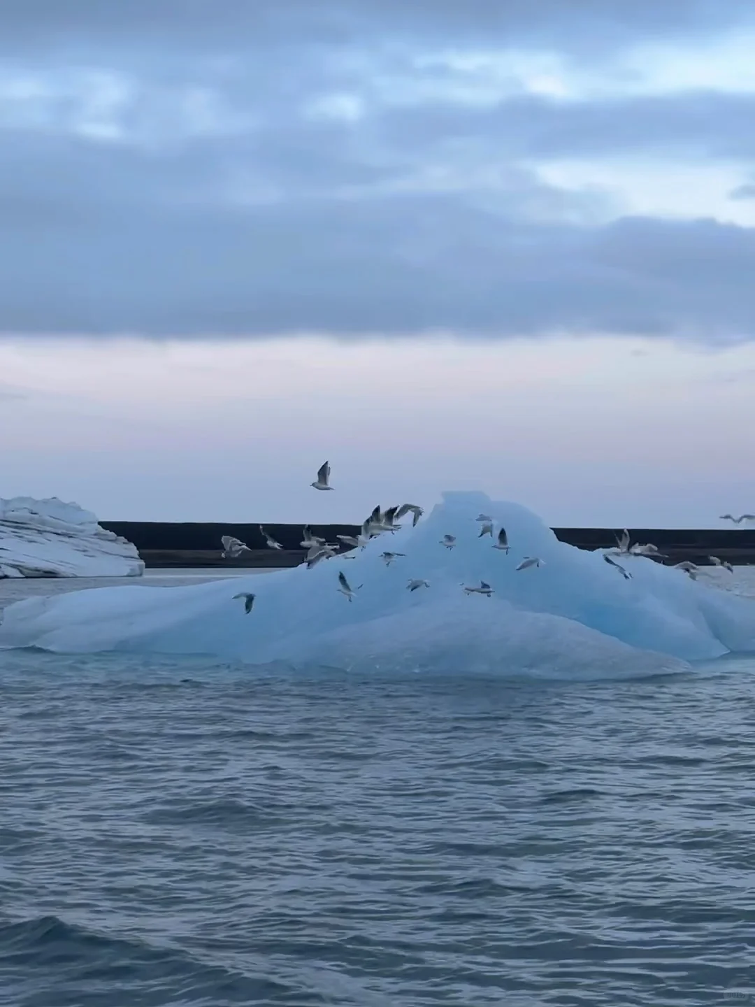 旅行结算｜我的年度live图