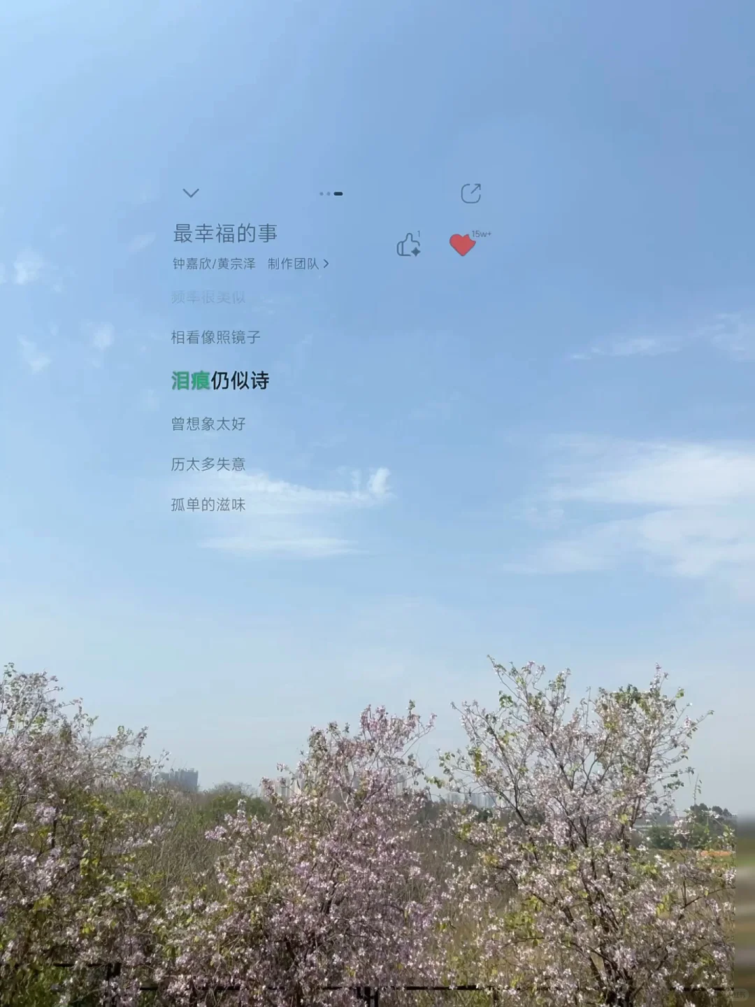 请接收你的旅游歌单🎵