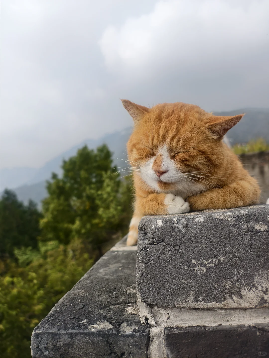北京的景點和地鐵真的會懲罰平時不鍛鍊的人