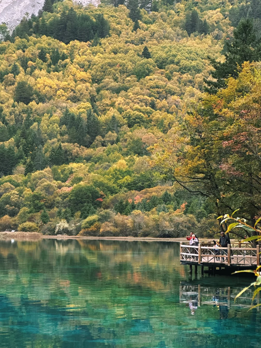 九寨沟避堵路线，把旺季当成淡季玩⛰️