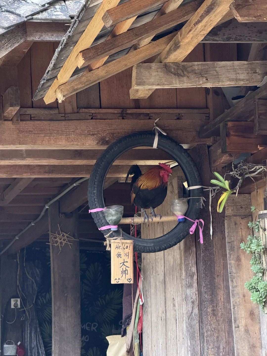 景迈山 ｜糯干古寨