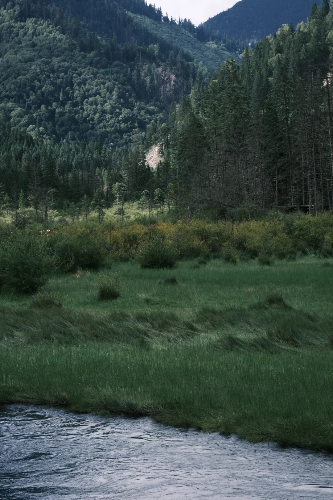 📍JiuZhaiGou 九寨沟