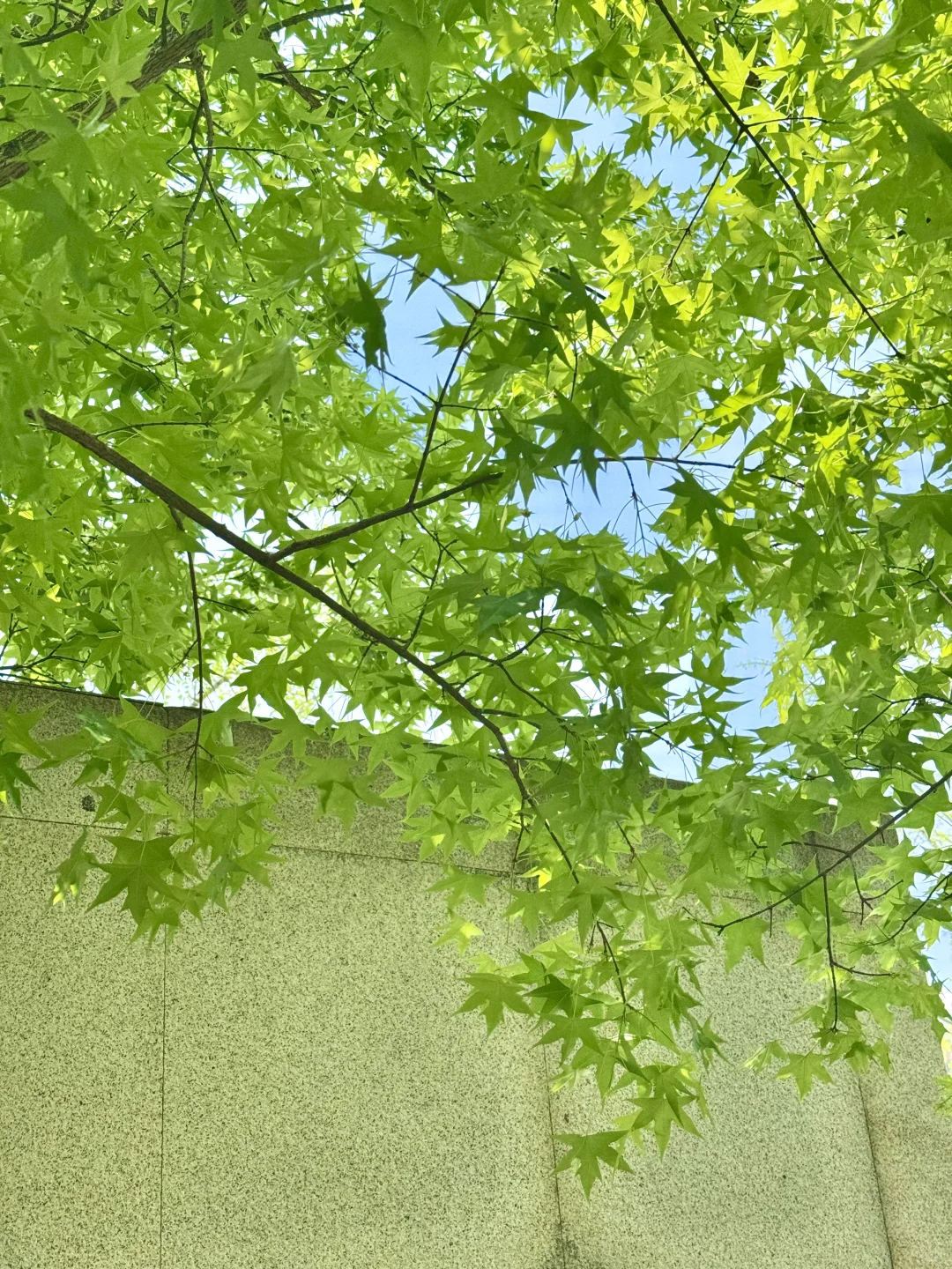 这辈子都舍不得删的live图…