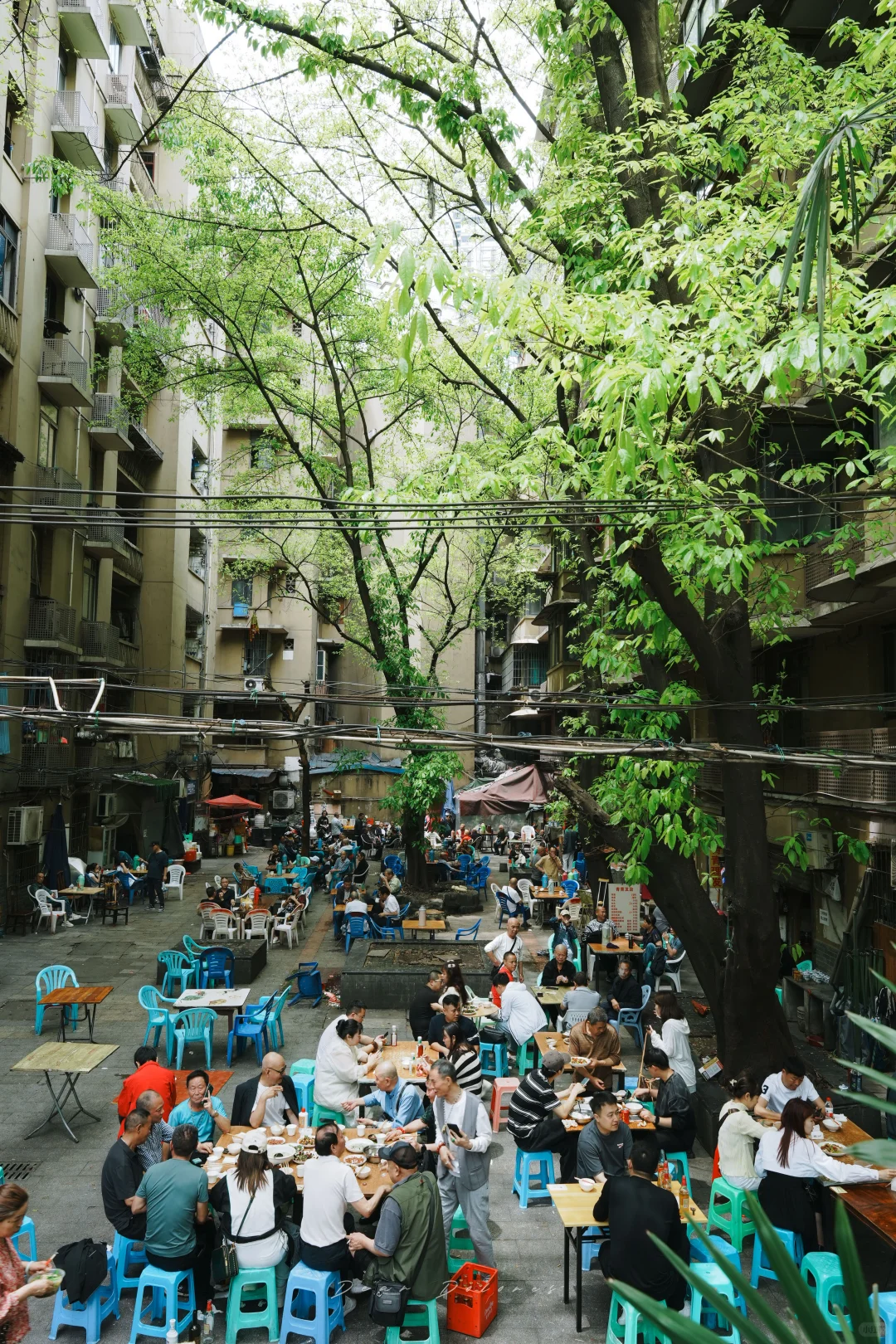 第一次去重庆，不知道怎么玩看这篇就够了❗️