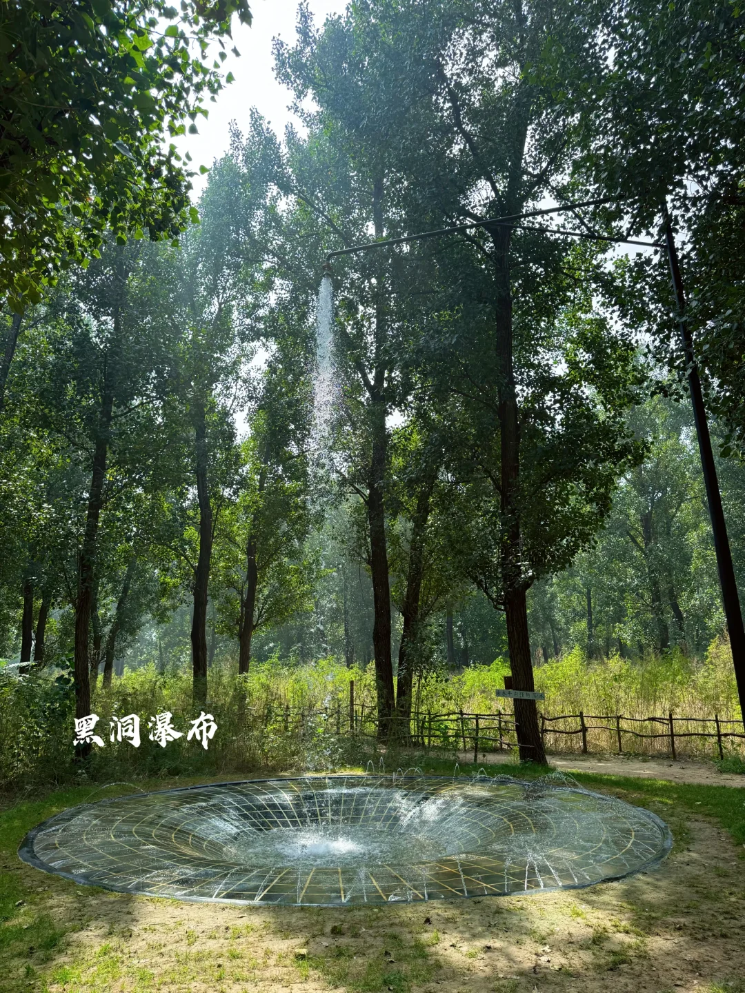 好像在河北遇到了绿光森林🍃