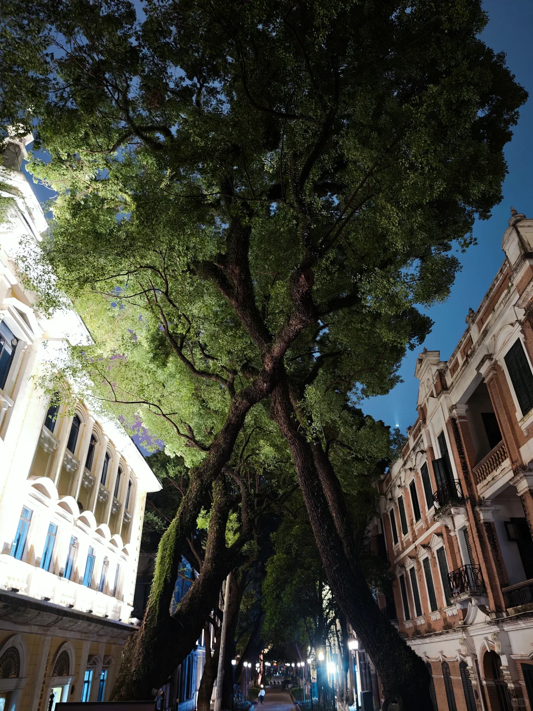 沙面岛夜景也这么美📸