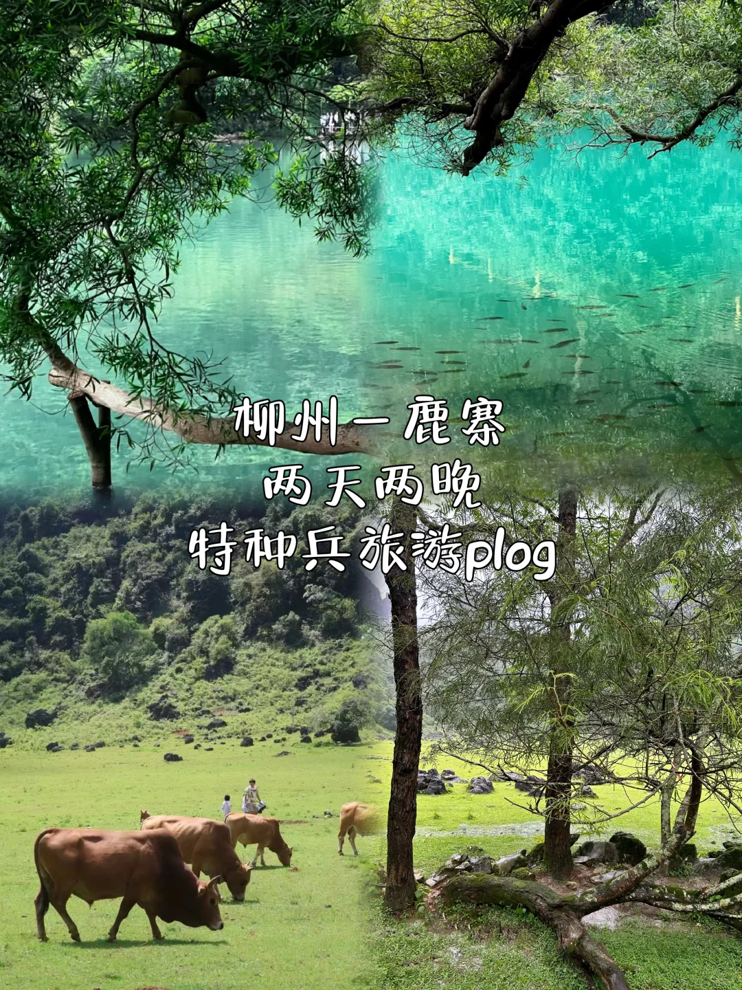 柳州—鹿寨｜两天两晚旅游攻略❗️