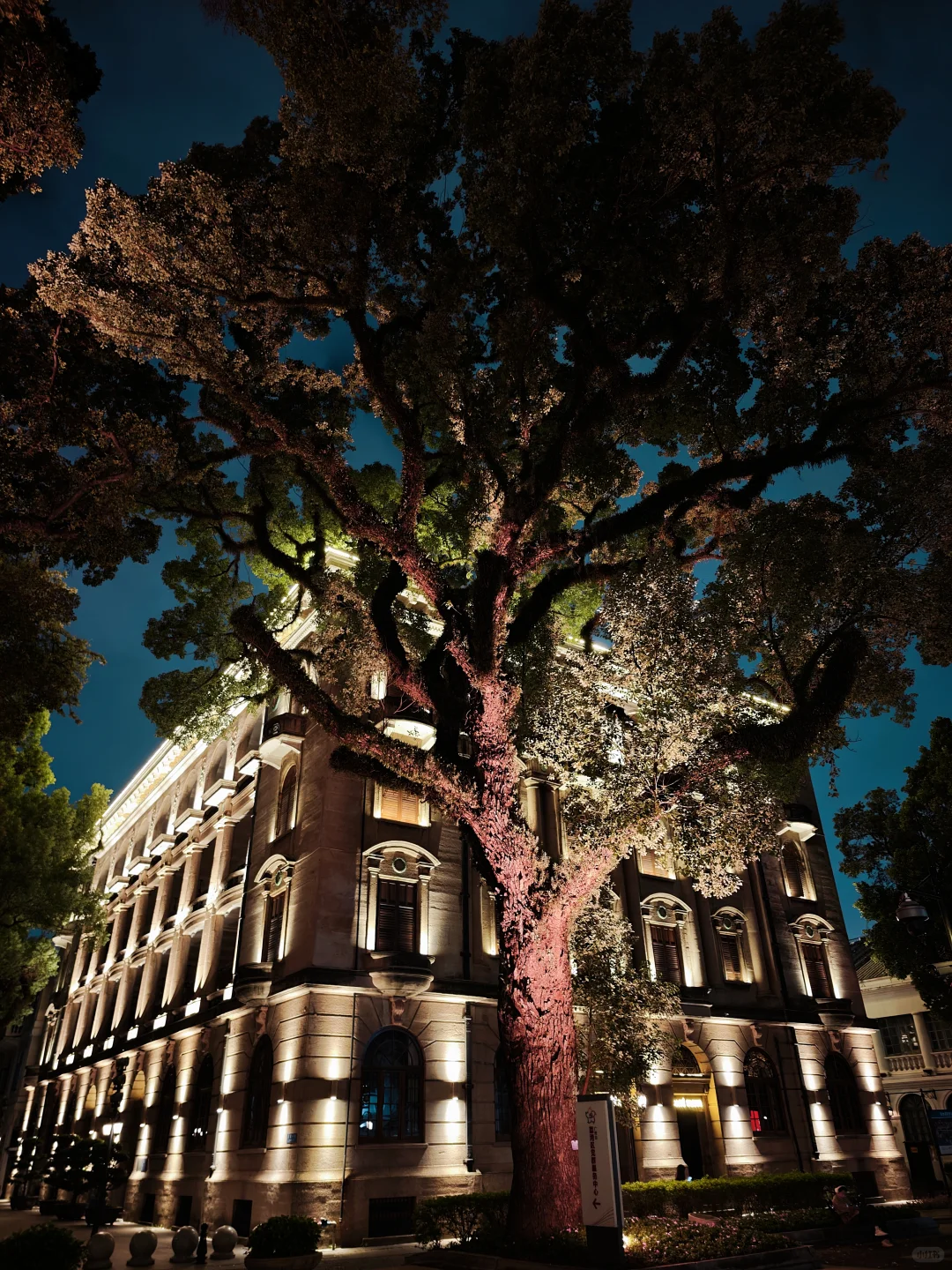 沙面岛夜景也这么美📸