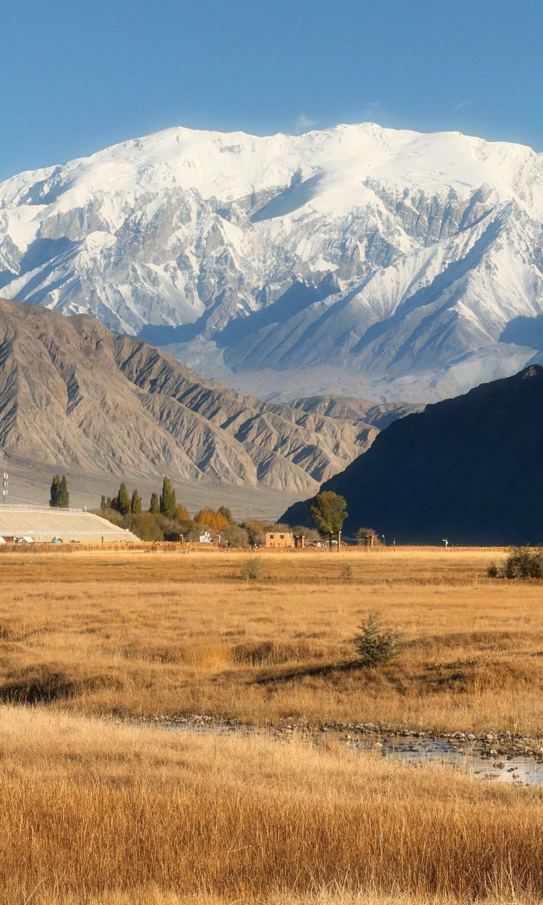 全屏live | 南疆秋天最好的地方都是免费的