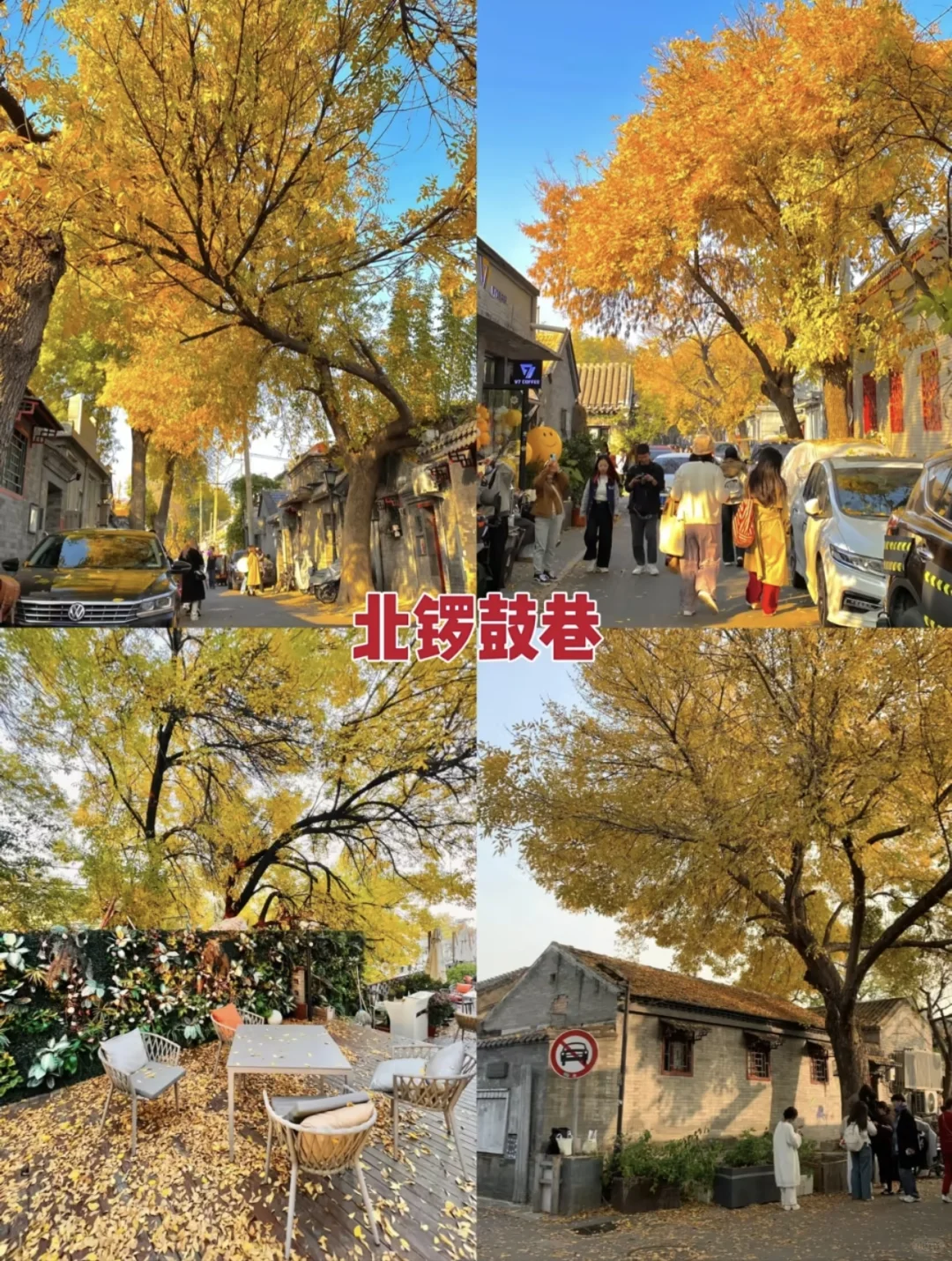 真的太美了，最美金秋！！！