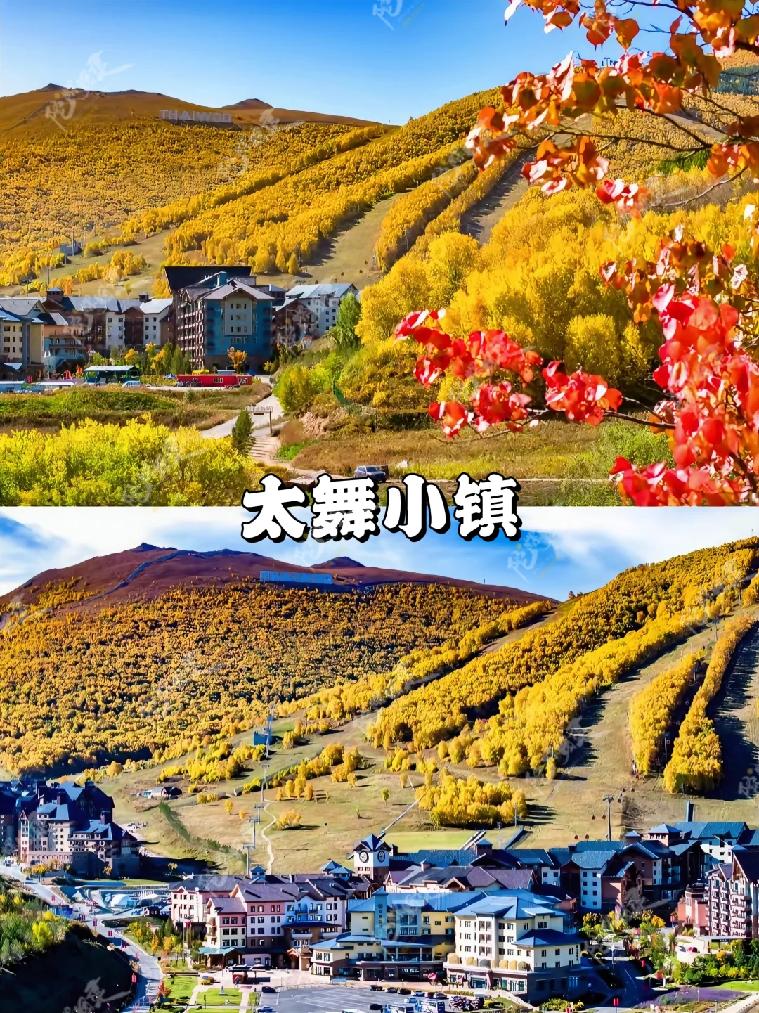 9-11月北京赏秋团建🍂大厂同款抄作业❗