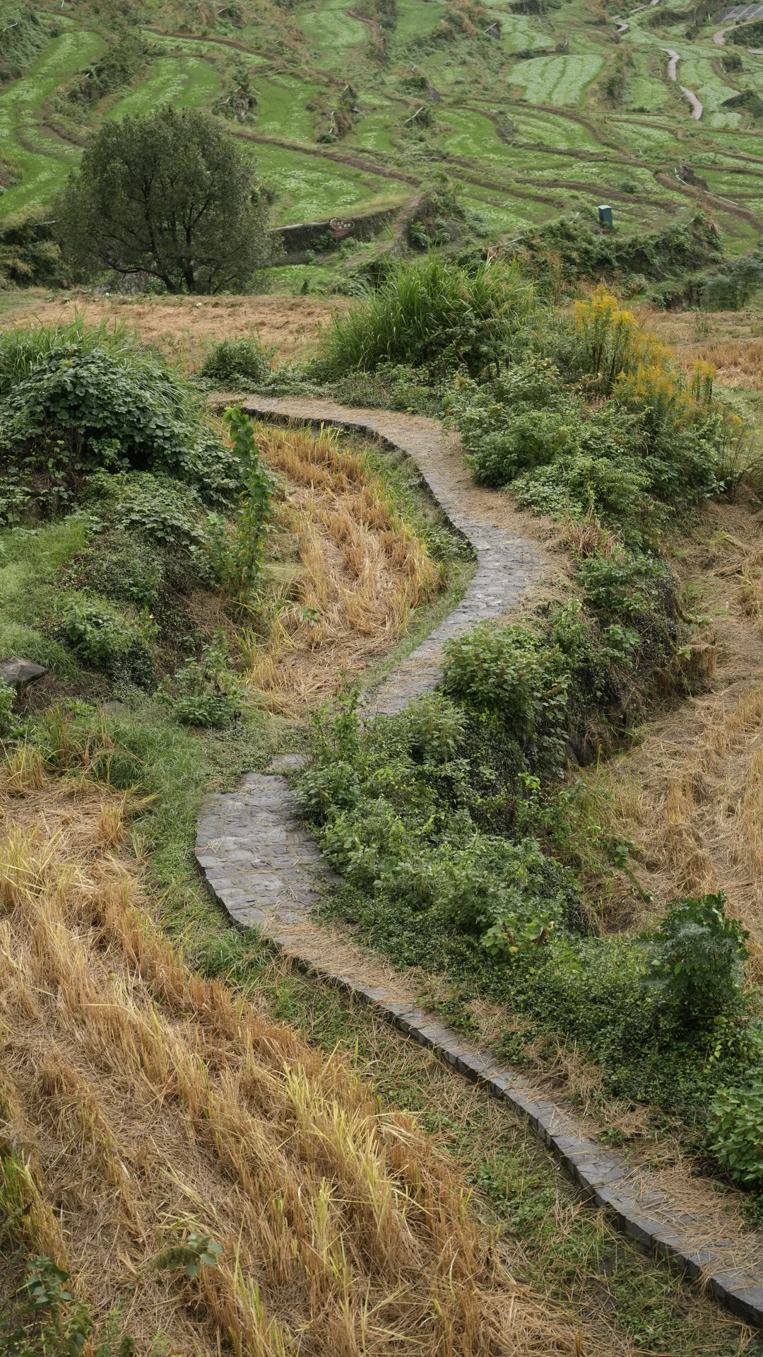 上海出发 江浙徒步 周末去哪里｜覆卮山⛰️