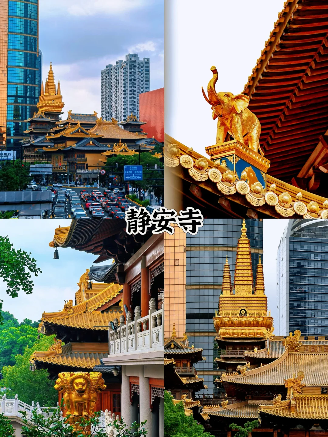 📍上海一日游超详细攻略!亲测不踩雷!!