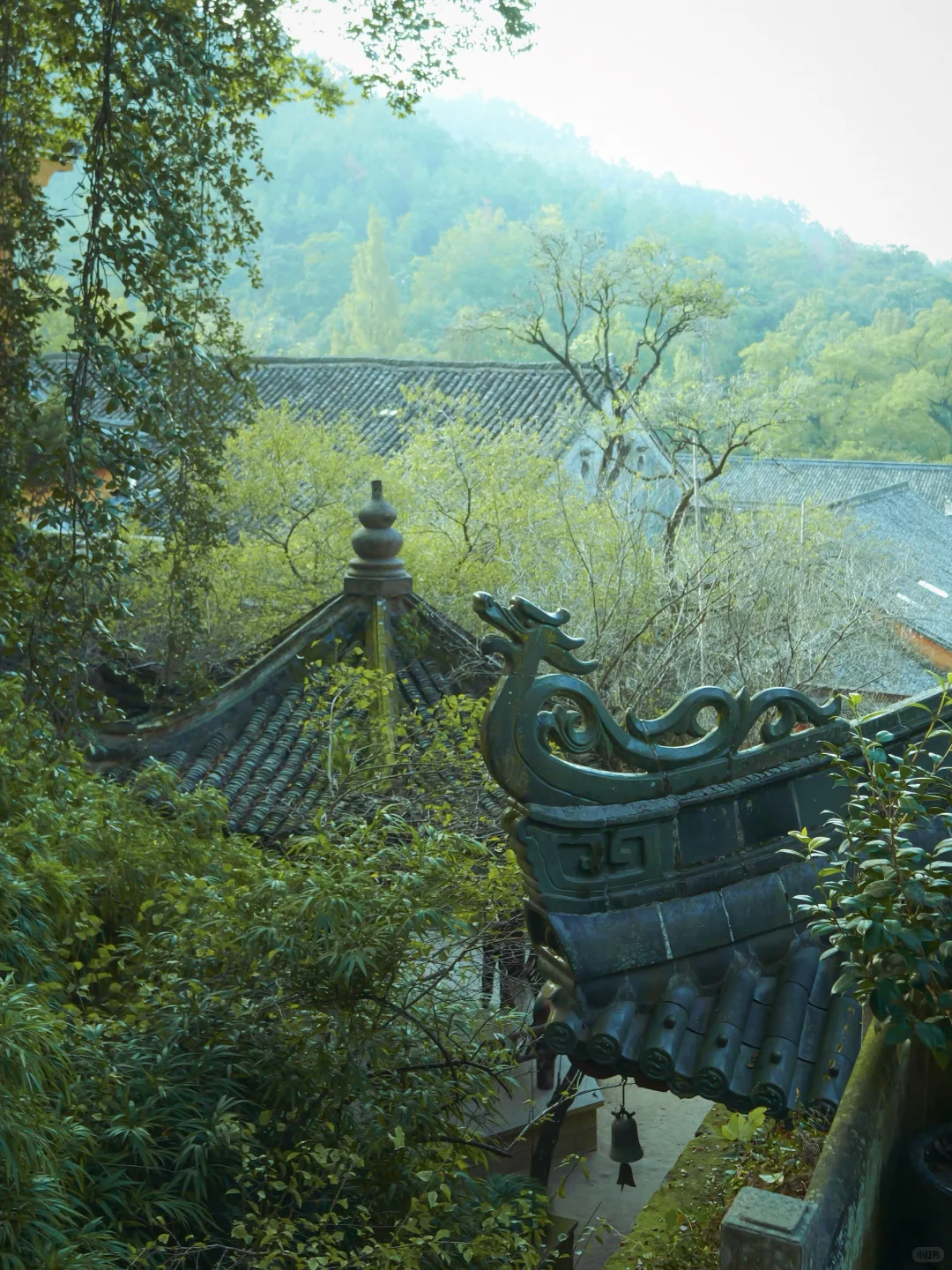 国清寺｜几度秋凉