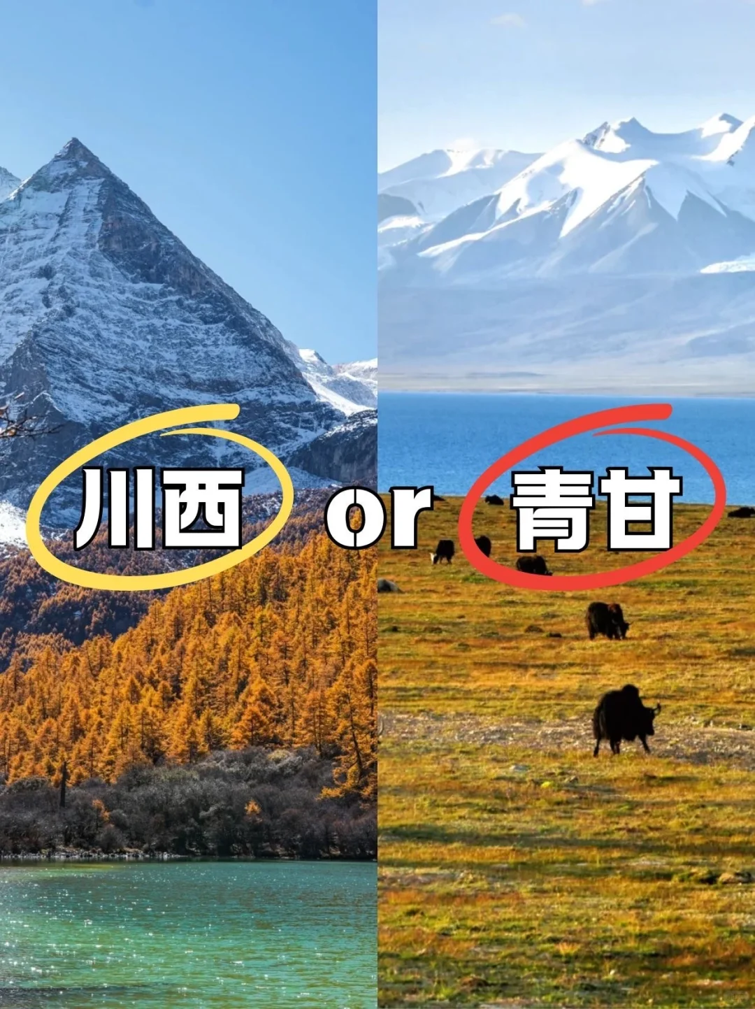 国庆假期川西和青甘怎么选❓我的建议是。。。