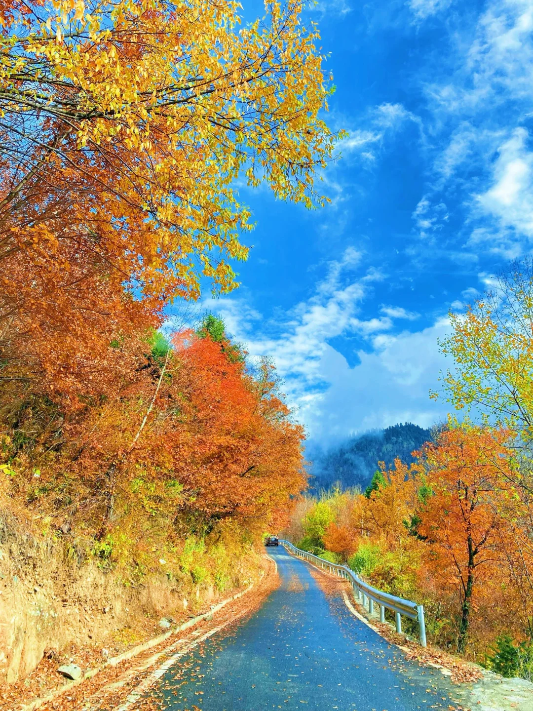 🔥比九寨沟更震撼！解锁川西彩林天花板！