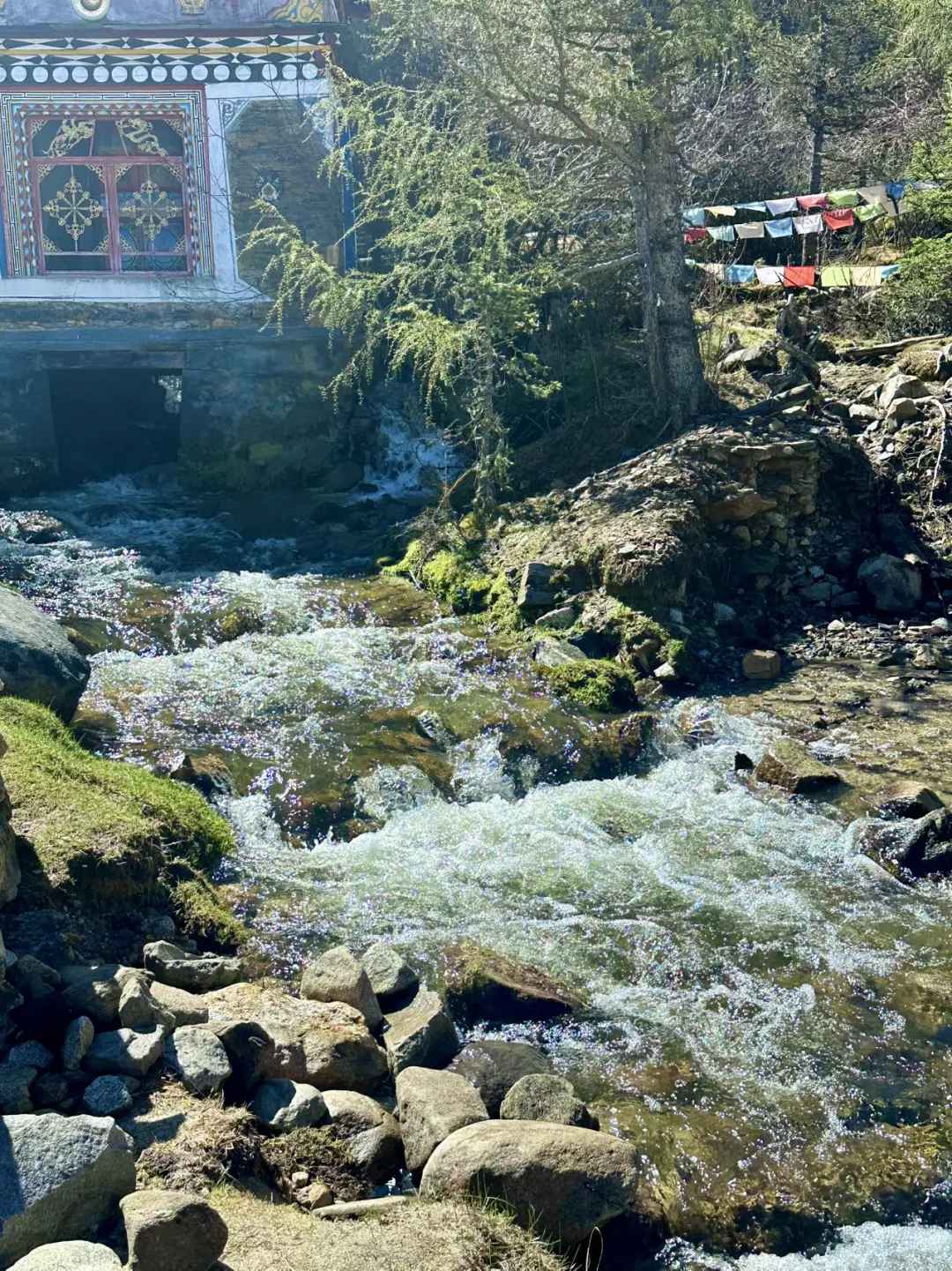 📍去川西真的要进行一次大采购。。。