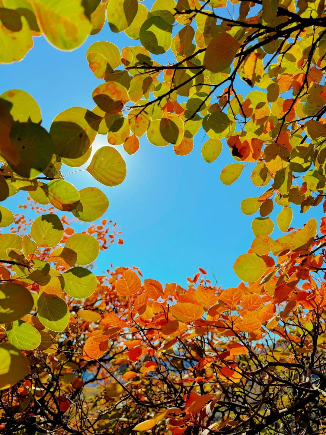 每周一针，本次打卡坡峰岭~附攻略