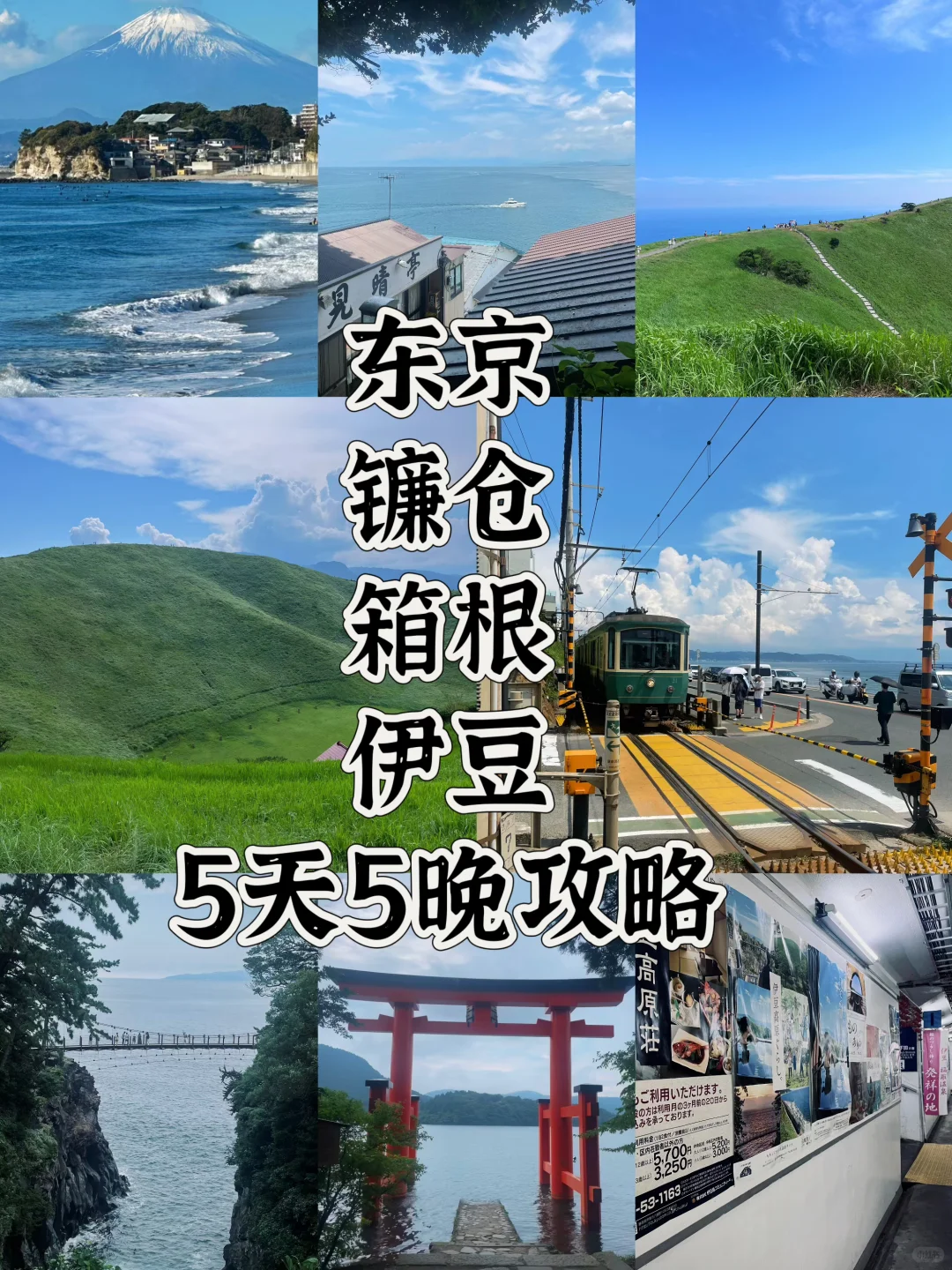 🇯🇵日本旅行攻略|5天5晚关东行